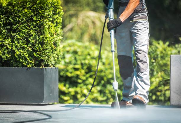 Best Dumpster Area Cleaning  in Strasburg, VA