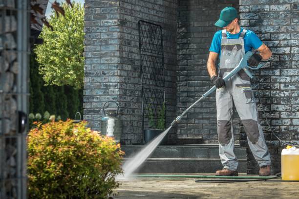 Best Solar Panel Cleaning  in Strasburg, VA